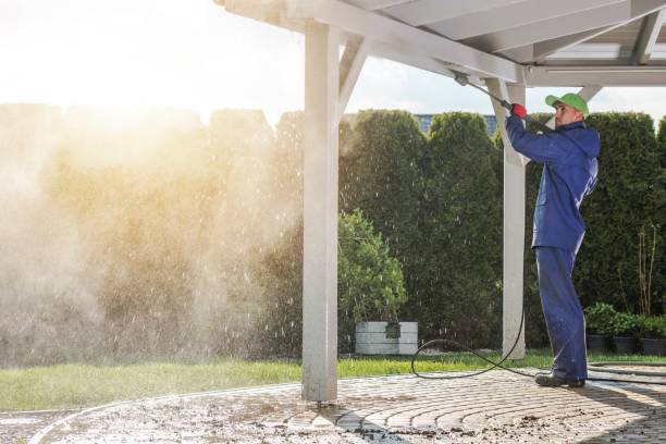 Best Oil Spill Cleanup  in Saddlebrooke, AZ