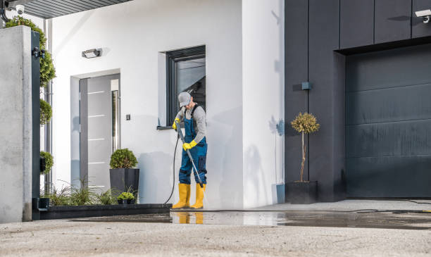 Best Rust Removal  in Saddlebrooke, AZ